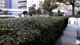 亚洲 图片 另类 综合 小说奇幻小说 - 亚洲 图片 另类 综合 小说🐓